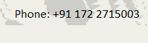 Phone Number